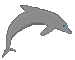 dolphin2.gif (1328 bytes)